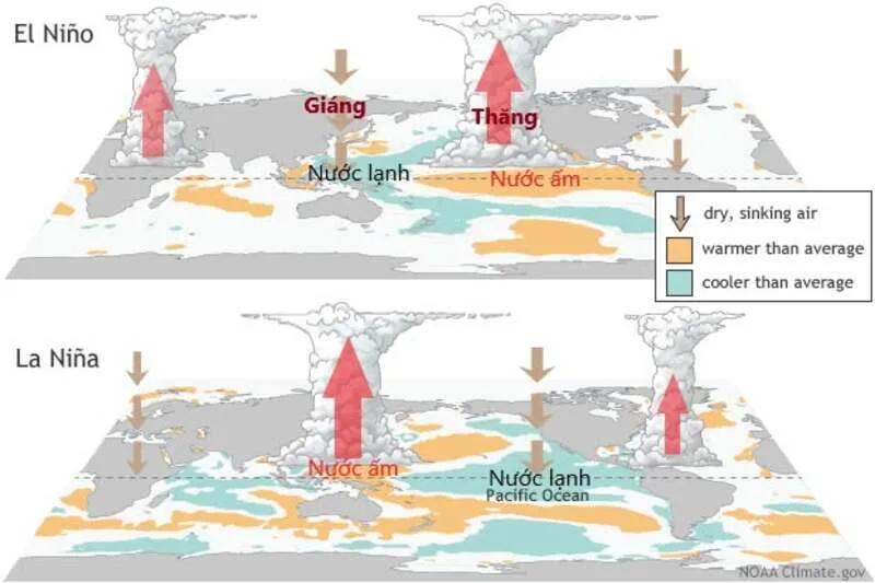 El Nino và La Nina là hai pha đối lập của ENSO, một pha làm biển ấm lên, pha kia làm biển lạnh đi.