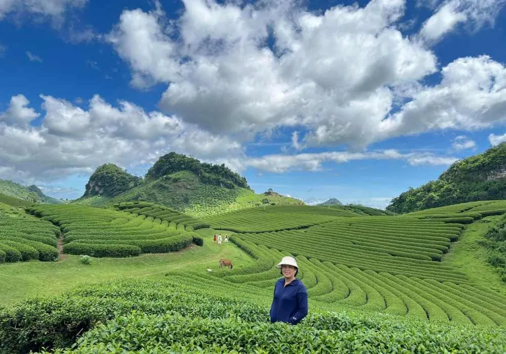 Mùa hè nên đi du lịch ở đâu