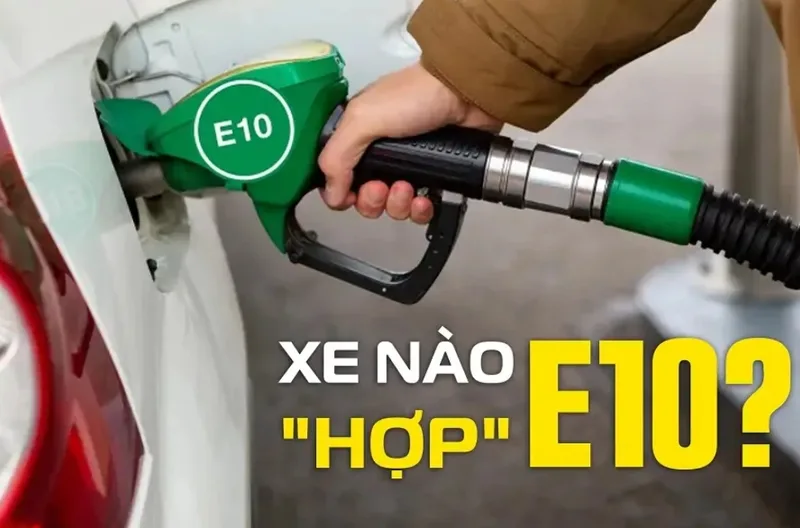 Xăng E10 chứa khoảng 10% ethanol, khác với E5 ở tỷ lệ phối trộn nhiên liệu sinh học