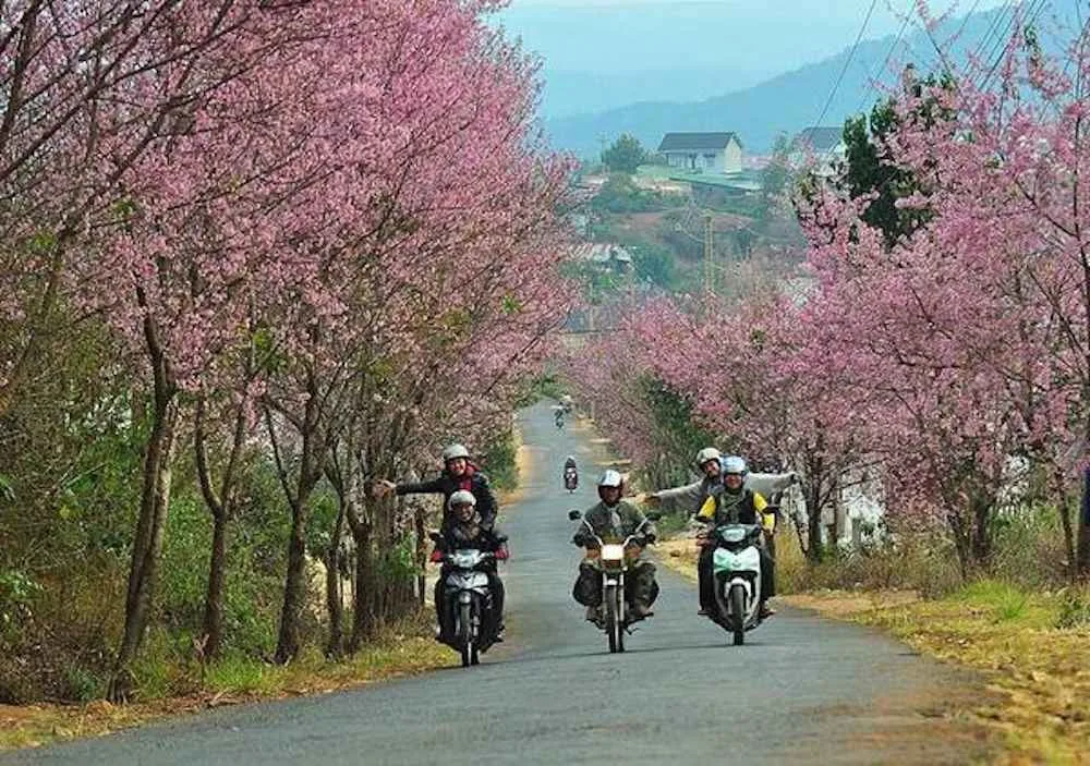 Du lịch Đà Lạt tự túc