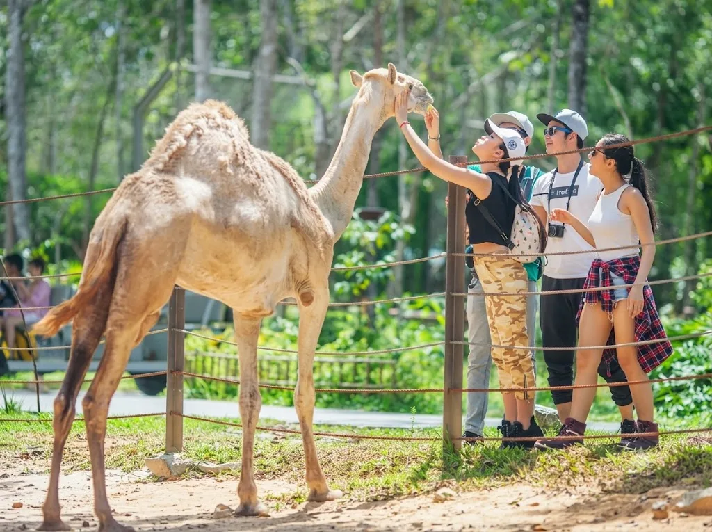 Vinpearl Safari Phú Quốc mang đến trải nghiệm khám phá hàng trăm loài động vật